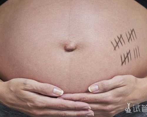 国内正规专业试管代怀公司,试管个娃多少价钱_小可爱的到来