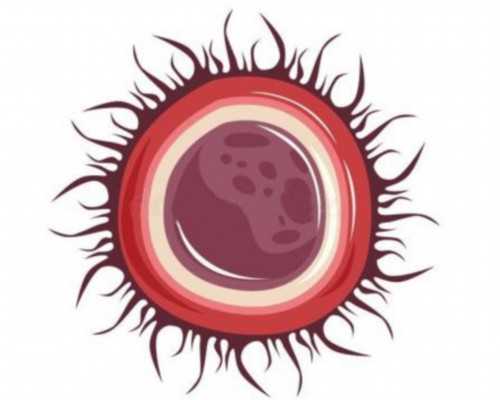 全国供卵试管婴儿医院哪家好,广东做试管三代共多少钱，有详细费用表吗