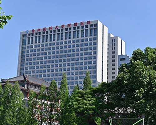 国内代生宝宝价格,囊胚4dd和5dd试管胚胎的区别都无法移植?