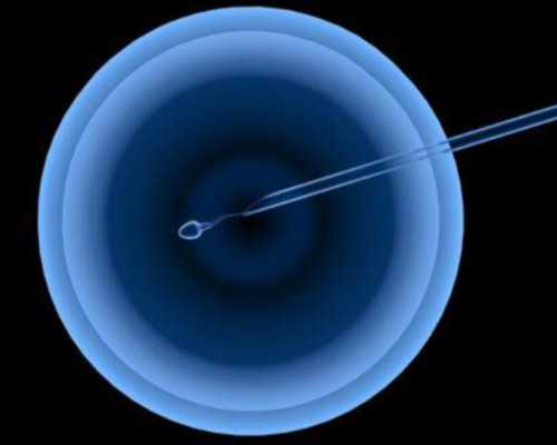 国内试管供卵中介,冻囊胚移植未着床的表现有哪些？