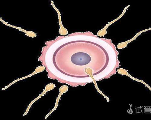 中国哪家医院供卵不用排队的,男性患有血精症受孕的胎儿能健康吗?怎么治疗？