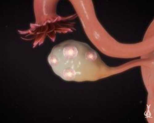 国内靠谱的供卵试管,柳州工人医院试管婴儿*率高不高怎样提升试管婴儿*率