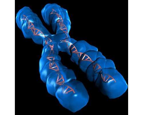 国内哪里有专业的供卵机构,深圳私立试管婴儿*率医院排名