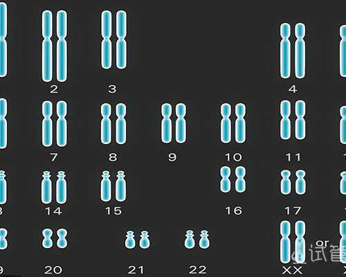 国内代孕联系电话,试管移植双胞胎容易流产就无法移植?