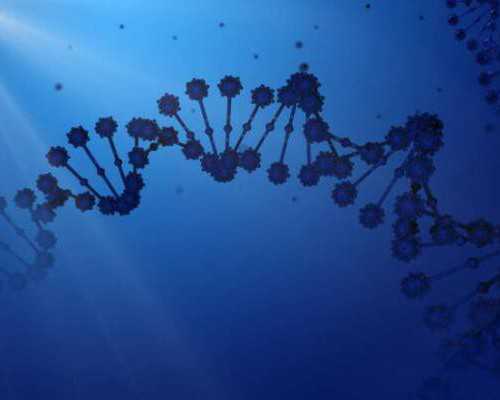 国内供卵中心有几个,辽宁哪些医院可以冻卵 费用是多少