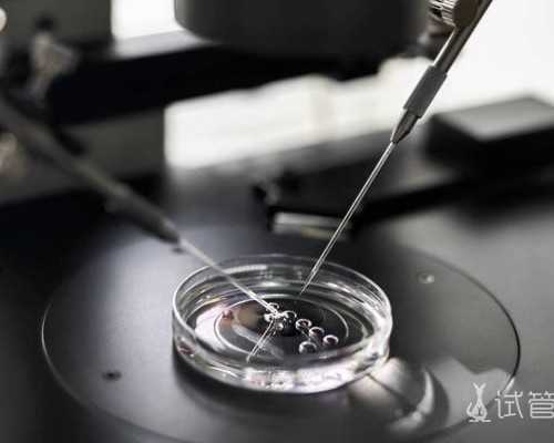 国内供卵做试管怎么样,试管胎停比例高吗？一起来看看这组研究数据！