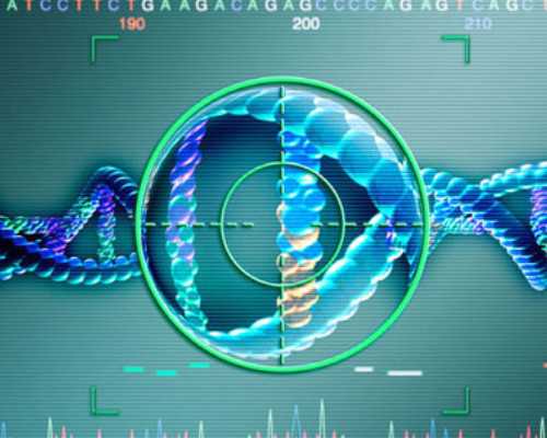 全国哪个医院有供卵试管,试管移植后几天着床什么反应  试管婴儿移植后几天着床