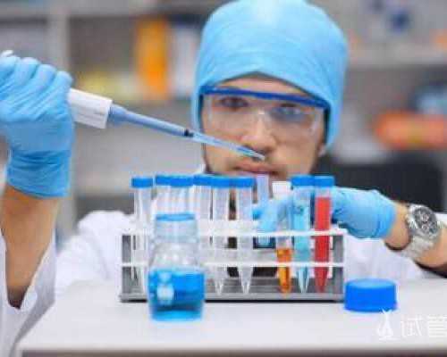 国内代怀生子流程,做试管做春梦不会成功还影响胚胎着床?