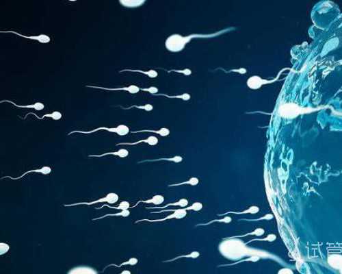 中国可以供卵试管婴儿,南宁做试管助孕医院需要多少钱？附2025详细过程和成功率