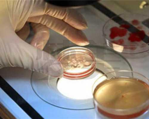 国内哪家试管给供卵,南通生殖中心比较好的三甲医院排名一览