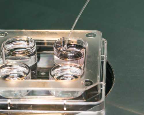 国内代生的医院,2025年生孩子清宫图奉上，备孕虎宝宝是否可信？值得收藏吗？